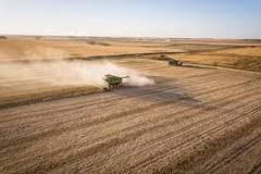 Investimento em Agronegócios: Uma Alternativa Atrativa para Diversos Tipos de Investidores