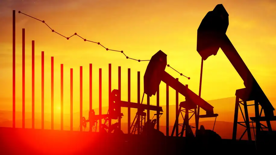 petroleo Home